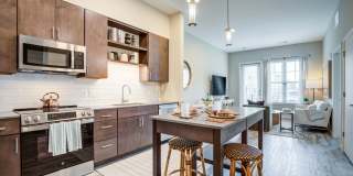 EDE Gallery 55