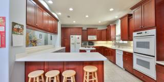 Expansive Clearwater Luxury | 6BR Pool Home w/ Solar, Outdoor Kitchen & 3+ Car Garage Gallery 15