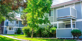 Village of the Pines Village of the Pines Gallery 2