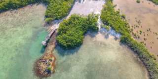 106 Mangrove Avenue Gallery 16