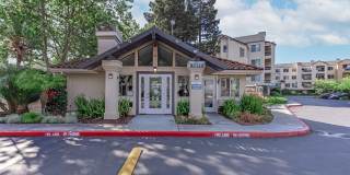 Paloma Vista Apartment Homes Gallery 12