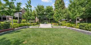 Old Orchard Apartments Gallery 36