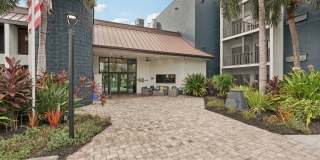 Sage Grove on Aaron Gallery 37