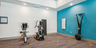 Alma Hub 121 Gallery 37