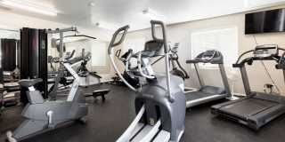 Serengeti Springs Gallery 10