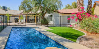 6863 E KELTON Lane Gallery 1