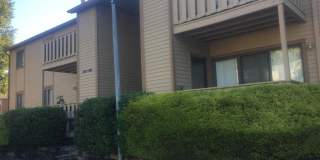 1609 WOODHOLLOW Drive Gallery 1