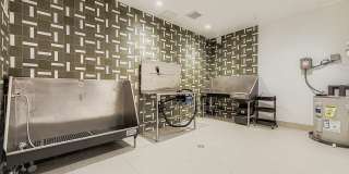 Sorella at Loretto Heights Gallery 36