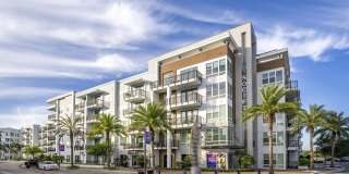 Society Westshore Apartments Gallery 28