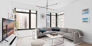 Dahlia Gallery 1
