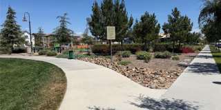 16458 Globetrotter Gallery 39