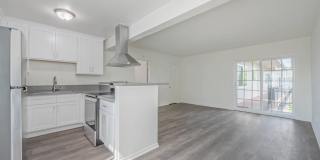 El Dorado Gallery 11