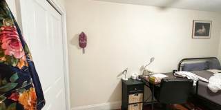 Five bed two bath near NEU... Gallery 11