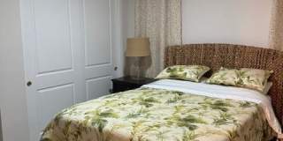 4140 Yucca Bloom Street Gallery 42