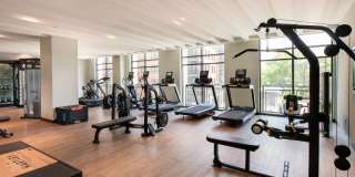 The Hartley Gallery 6