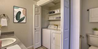 The Pines Apartments Gallery 11