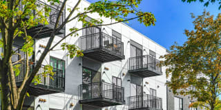 Deco 265 Apartments Gallery 63