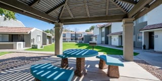 Avana Chandler Gallery 16