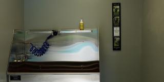 Chapel Creek Gallery 19