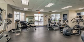 The Cosmopolitan Apartments Gallery 8