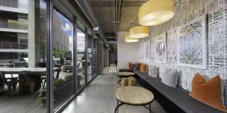 The Shay Gallery 13