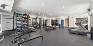 Blue Eastline Gallery 23