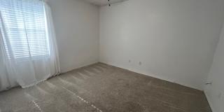 5317 WESTERN PLAINS Gallery 17