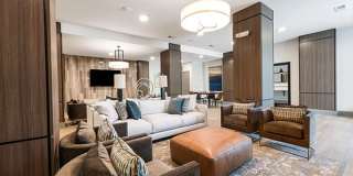 Edition on Oberlin Gallery 11