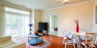 Elegant 2BD Condo with Unbeatable Access & Premium Features in Arlington w/ Parking! Elegant 2BD Condo with Unbeatable Access & Premium Features in Arlington w/ Parking! Gallery 18