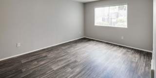 Camden Park Gallery 10