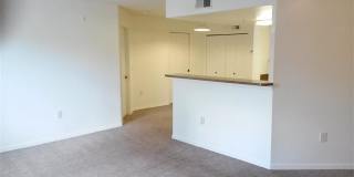 Condominium for Rent in Cape Coral. 2bed/2bath . Zip code 33990 Gallery 11