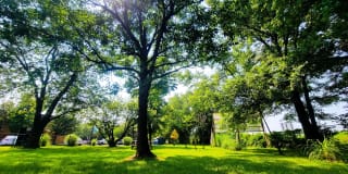 Tanglewood Apartments Gallery 4