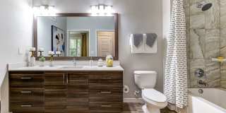 Cortland on Orange Gallery 14