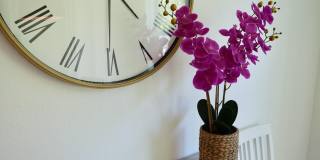 1753 NE White Pine Terrace Gallery 19