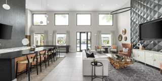 The Sophia Gallery 51