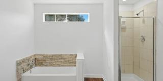 501 Bald Eagle Gallery 12