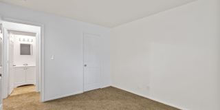 The Pines at SoBro Gallery 25