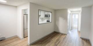 Windsong Gallery 5