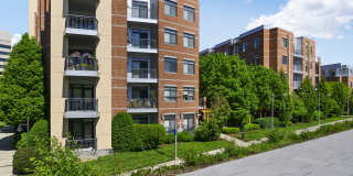Crystal City Lofts Gallery 42
