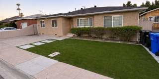 5 Bed / 3 Bath on Rockford Dr (Large Rooms & Backyard) – Walk to Campus!! Gallery 1