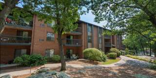 Stone Run East Gallery 19