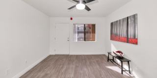 Urban Walk Gallery 5