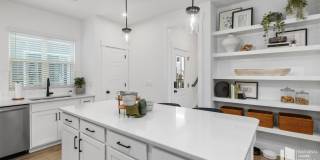 253 Asher Hls Ct Gallery 14