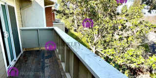 1412 Kinross Court Gallery 24