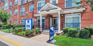 Reid's Prospect Gallery 21