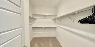 2693 paragon Loop Gallery 18