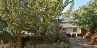 High end, fully furnished, cottage in Downtown Mill Valley!  Plus optional additional cottage! PROGRESSIVE Gallery 24