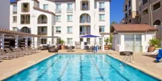 Torrey Gardens Gallery 15