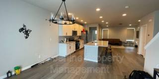 7359 Hunter Jumper Dr. Gallery 7