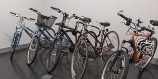 The Ivy at Berlin Place Gallery 36